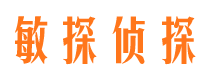 兴文市私家侦探